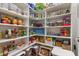 Well-organized pantry with ample shelving for storage at 8361 Ludington Cir, Orlando, FL 32836