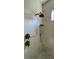 Modern shower with marble tile, bronze fixtures, and a rainfall shower head at 16902 Vinci Way, Montverde, FL 34756
