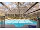 Outdoor pool and patio under a screened enclosure, surrounded by lush greenery for privacy at 2351 Mandarin Rd, Deland, FL 32720