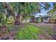 Spacious backyard, featuring a large tree and home view at 3501 Calumet Dr, Orlando, FL 32810