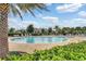 Resort-style pool with lounge chairs and landscaping at 7387 Duxbury Ln, Winter Garden, FL 34787