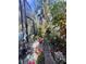 Landscaped backyard with a stone walkway and tropical plants at 921 Rosinia Ct, Orlando, FL 32828