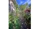 Landscaped side yard with overgrown foliage and pathway at 921 Rosinia Ct, Orlando, FL 32828