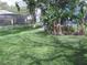 Spacious backyard with lush green grass and tropical banana trees, perfect for outdoor activities at 11618 Grand Bay Blvd, Clermont, FL 34711