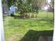 View of a spacious backyard with lush green grass and a few banana trees at 11618 Grand Bay Blvd, Clermont, FL 34711