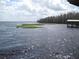 Serene lake view with a dock, offering opportunities for boating and enjoying the scenic waterfront at 11618 Grand Bay Blvd, Clermont, FL 34711