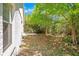 Side view of backyard featuring trees, patio and vegetation at 441 Tree Shore Dr, Orlando, FL 32825