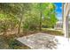 Backyard showing a concrete patio surrounded by mature trees and greenery, offering privacy and a peaceful outdoor space at 441 Tree Shore Dr, Orlando, FL 32825