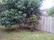 View of a partially fenced backyard with two trees at 5633 Piney Ridge Dr, Orlando, FL 32808