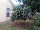 Backyard with a large tree and wooden fence at 5633 Piney Ridge Dr, Orlando, FL 32808