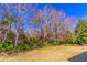 Landscaped backyard with mature trees and lush greenery at 400 Magnolia Oak Dr, Longwood, FL 32779