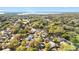 Aerial view of homes and lush green trees at 511 Coventry Ct, Mount Dora, FL 32757