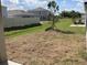 View of spacious backyard with partial fencing and young pine tree planted at 329 Conway Ave, St Cloud, FL 34771
