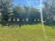 Spacious backyard with grassy area and hedge at 445 Kestrel Dr, Groveland, FL 34736