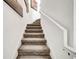 Carpeted staircase with simple white railings at 1008 E 10Th St, Apopka, FL 32703