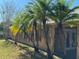 House exterior with palm trees and landscaping at 9714 Nonacrest Dr, Orlando, FL 32832