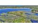 Expansive aerial view showcases the lush lake covered in lilypads at 15040 Ne 248Th Avenue Rd, Fort Mc Coy, FL 32134