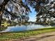 Scenic view of the pond with a fountain, surrounded by lush greenery and shade trees at 2328 Midtown Ter # 1024, Orlando, FL 32839