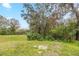 Expansive backyard filled with lush greenery and mature trees at 451 Rogers St, Orlando, FL 32811
