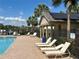 Community pool with lounge chairs, covered area, and clear blue water surrounded by palm trees at 525 Aster Dr, Davenport, FL 33897