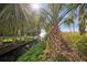 Scenic shot of a canal and water view with lush landscaping and tropical trees at 690 Osceola Ave # 604, Winter Park, FL 32789