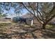 Large backyard with a screened-in lanai, storage shed, and mature trees at 1001 Willow Run St., Minneola, FL 34715