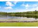 Serene pond with lush green vegetation at 12666 Moss Park Ridge Dr, Orlando, FL 32832