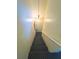 Carpeted staircase with overhead lighting and white railings at 3197 Sea World Ct, Kissimmee, FL 34746