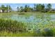 Serene community lake with lush greenery and lily pads at 648 Daring Dr, Davenport, FL 33837