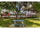 Enjoy outdoor dining at the community picnic tables near the pool, shaded by mature trees and lush landscaping at 16737 Meadows St, Clermont, FL 34714