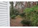 Backyard featuring ample foliage, offering a serene and private outdoor space at 32512 Oak Park Dr, Leesburg, FL 34748