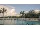 A community swimming pool with palm trees and lounge chairs under open skies offers resort-style living at 32512 Oak Park Dr, Leesburg, FL 34748