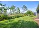 Grass lawn with preserve views and screened patio at 1069 Avery Meadows Way, Deland, FL 32724