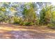 Wooded backyard area with natural vegetation at 151 E Plantation Blvd, Lake Mary, FL 32746