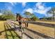 Brown horse in a wooden fenced paddock at 2140 W State Road 46, Geneva, FL 32732