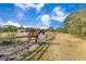 Brown horse stands in a grassy paddock with wooden fencing at 2140 W State Road 46, Geneva, FL 32732