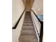 Carpeted staircase with white risers and dark wood handrail at 8066 Glenlloyd Ave, Winter Garden, FL 34787