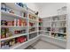 Organized walk-in pantry with ample shelving to store food and supplies at 9573 Meadow Hunt Way, Winter Garden, FL 34787