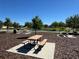 Community picnic area offers tables, manicured landscaping and trash receptacles for outdoor dining and recreation at 15547 Hamlin Blossom Ave, Winter Garden, FL 34787