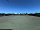 Community tennis courts provide space for recreation and fitness with well-maintained playing surfaces at 15547 Hamlin Blossom Ave, Winter Garden, FL 34787