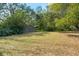 A serene backyard showcasing lush greenery and a storage shed, creating a private outdoor oasis at 632 Tildenville School Rd, Winter Garden, FL 34787