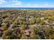 Beautiful neighborhood aerial view showing mature trees and lush landscaping with a glimpse of the coast at 2004 Magnolia Ave, Sanford, FL 32771