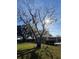 Large tree with Spanish moss in the community at 208 Diamond Cv # 104, Casselberry, FL 32707