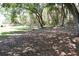 Backyard featuring a chain link fence and mature trees at 423 Longfellow Blvd, Lakeland, FL 33801