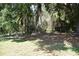 Backyard featuring a chain link fence and some mature trees at 423 Longfellow Blvd, Lakeland, FL 33801