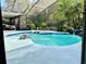 Backyard screened-in pool and spa with a waterfall feature, and tropical plants at 9145 Floribunda Dr, Orlando, FL 32818