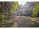 Backyard with some grass, trees, and the house visible at 3115 Avenue U Nw, Winter Haven, FL 33881