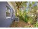 View of the backyard, with mature trees and partial fence at 3115 Avenue U Nw, Winter Haven, FL 33881