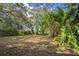 Large backyard with tree coverage at 3115 Avenue U Nw, Winter Haven, FL 33881