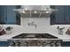 Modern kitchen with stainless steel range, hood and white subway tile backsplash at 1015 Jack Nicklaus Ct, Kissimmee, FL 34747